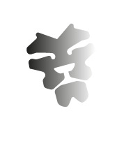 E-LIONS